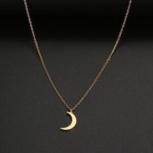 Stainless Steel Moon Necklace